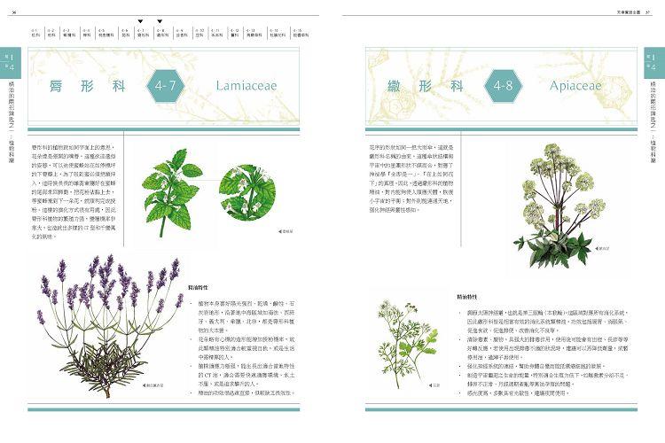 芳療實證全書：從分子到精油、從科學到身心靈，成為專業芳療師的必備聖經【肯園20週年紀念版】